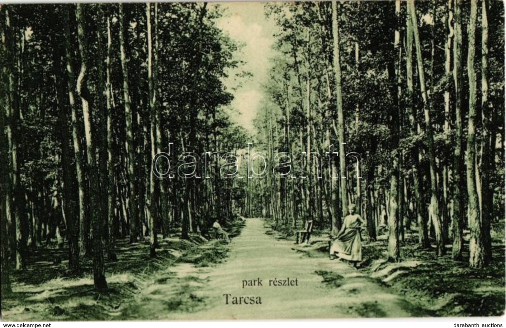 T2 1908 Tarcsa, Tatzmannsdorf; Park Részlet. Hegedűs Miksa Kiadása / Promenade In The Park - Non Classés