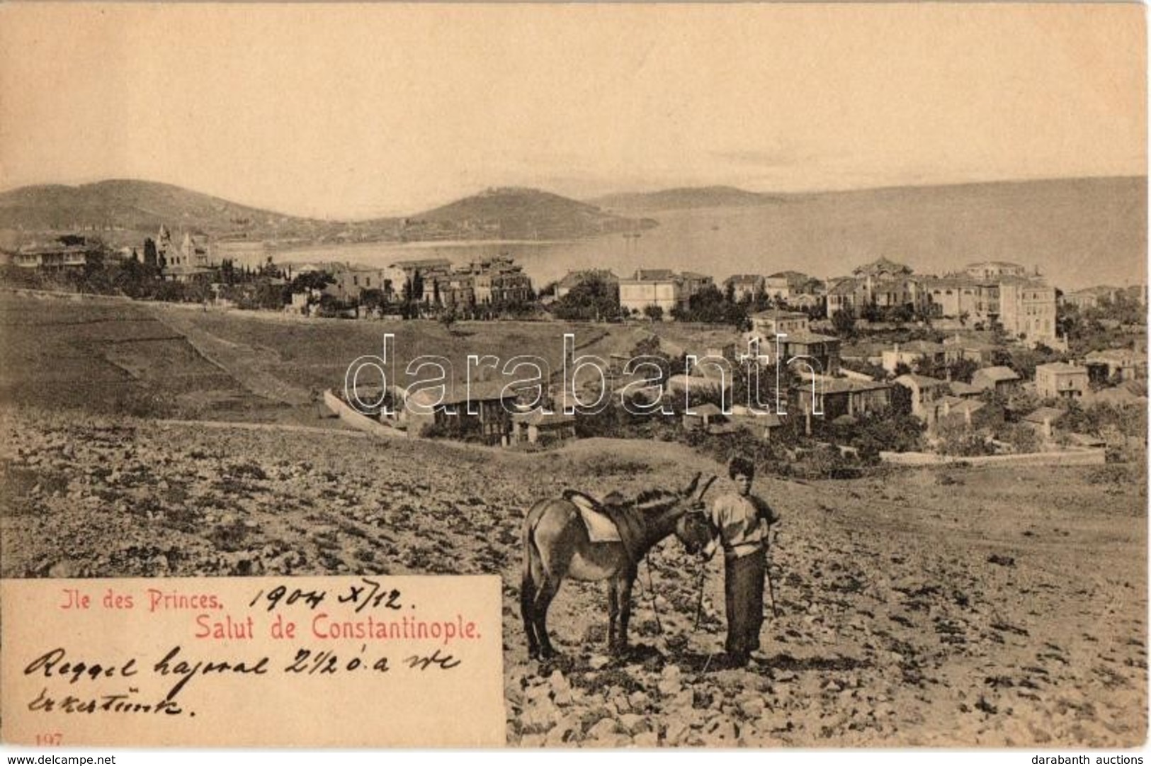 * T1/T2 1904 Constantinople, Istanbul; Ile Des Princes / Princes' Islands, Donkey - Ohne Zuordnung