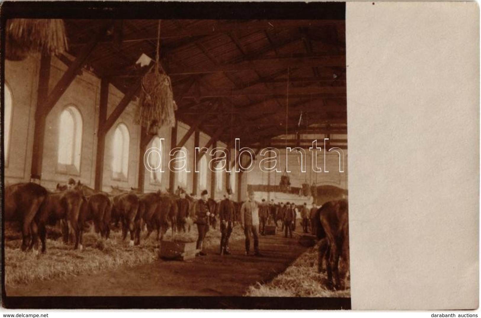 ** T1/T2 ~1908 Huszárezred Istállója, Belső / Military Barn Of The K.u.k. Hussar Regiment, Interior. Photo - Ohne Zuordnung