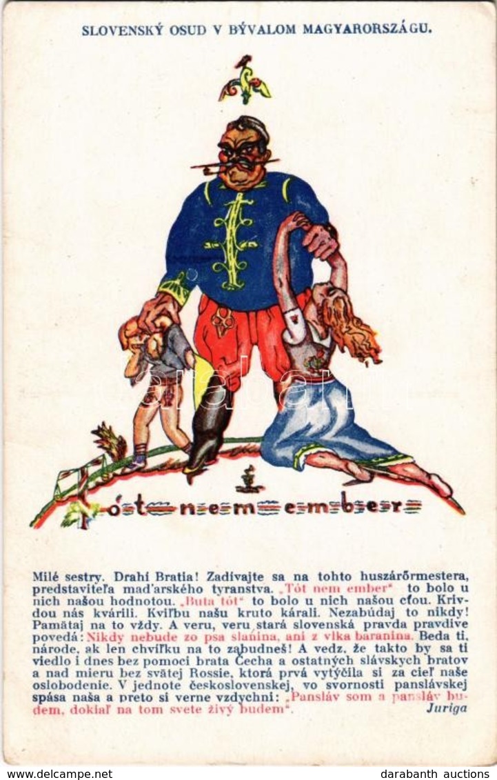 ** T2/T3 Tót Nem Ember. Magyar Ellenes Szlovák Propaganda / Czechoslovak Unity, Slovakian Anti-Hungarian Propaganda, Fer - Non Classés