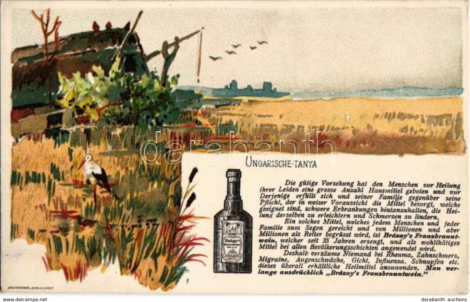 * T2/T3 Ungarische Tanya. Brázay-féle Sósborszesz Reklám / Hungarian Savory Wine Spirits Advertisement, Bruchsteiner E S - Non Classés