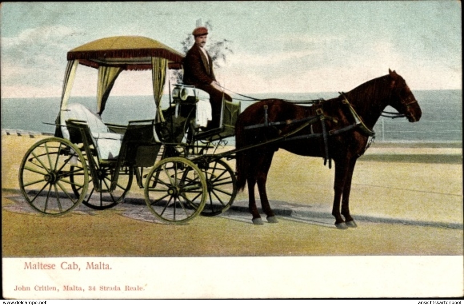 Cp Malta, Maltese Cab, Carrozzin, Pferdekutsche, Einergespann, Kutscher - Malta