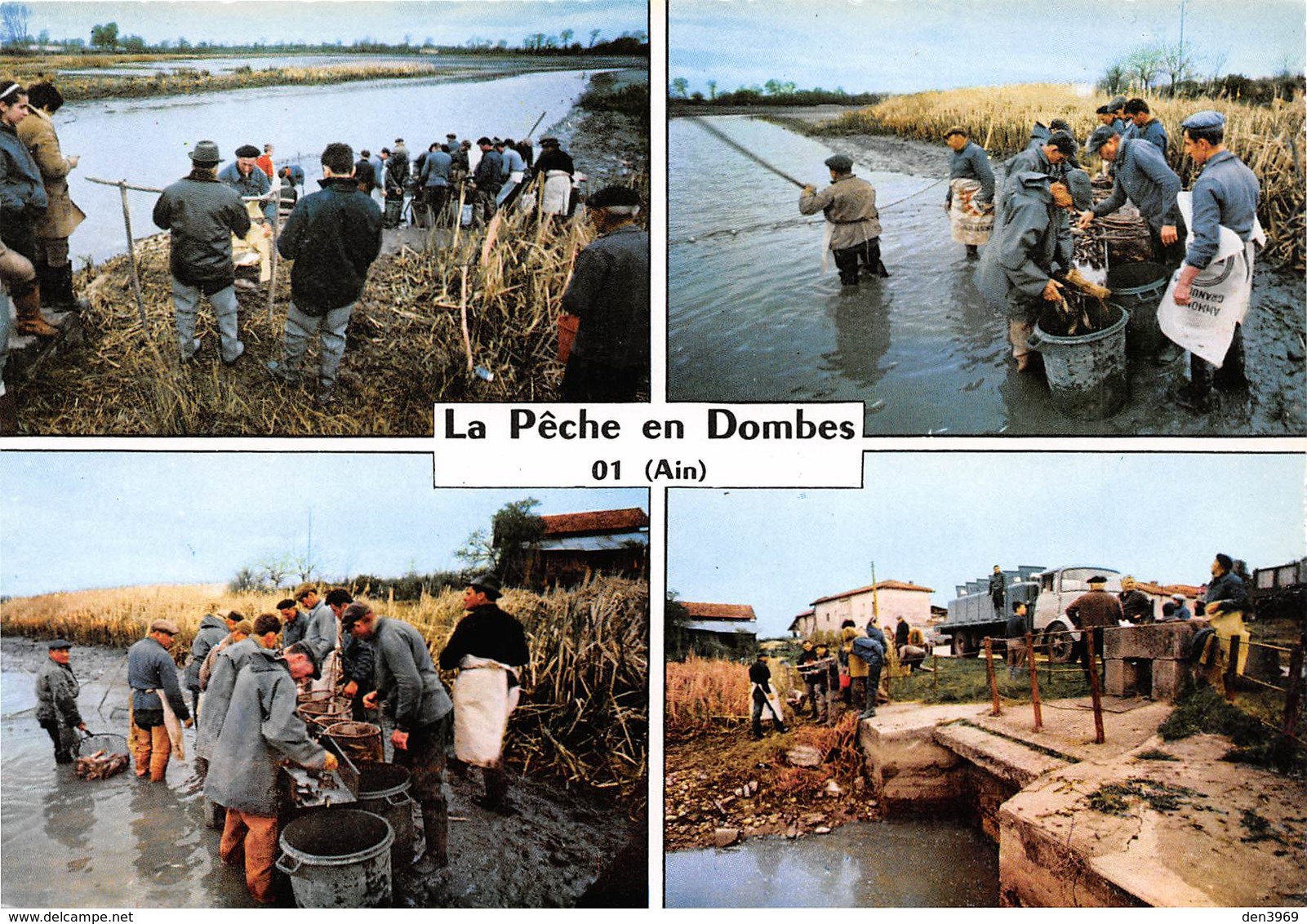 La Pêche En DOMBES - Filet - Epuisettes - Villars-les-Dombes