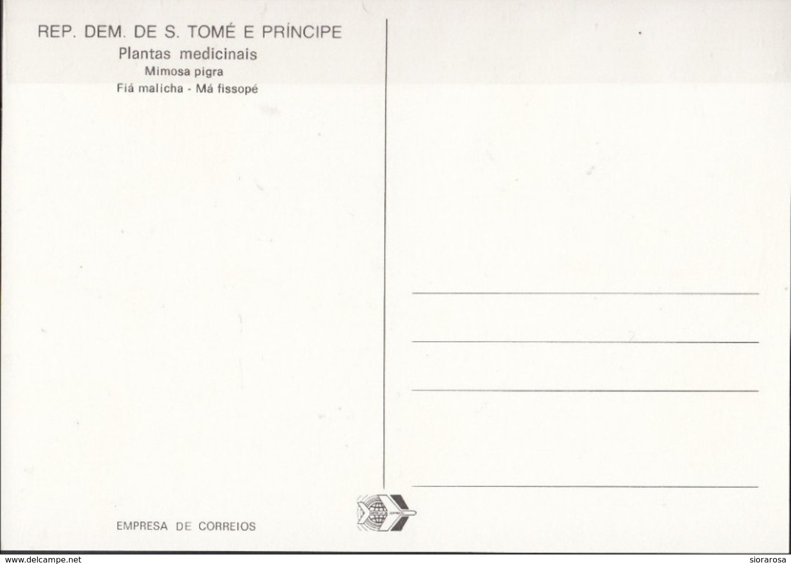 S. Tomé E Principe 1983 Sc. 719 Medicinal Plants Maximum Card Mimosa Pigra Piante Medicinali Maxi - Sao Tomé E Principe