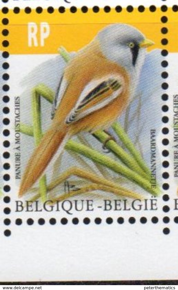 BELGIUM, 2019, MNH, BIRDS, BEARDED REEDLING, DEFINITIVES, REGISTERED MAIL, 1v - Altri & Non Classificati