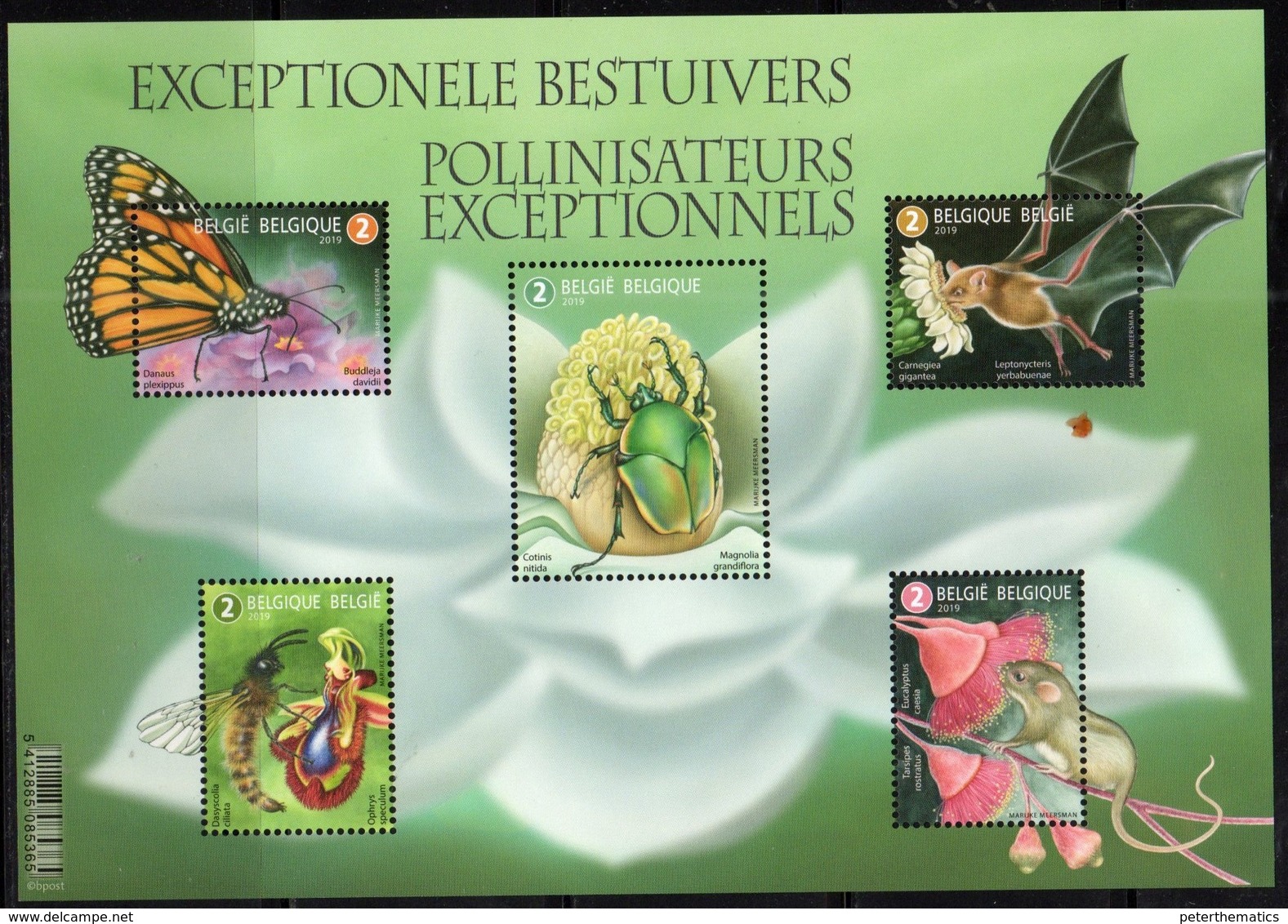 BELGIUM, 2019, MNH, EXCEPTIONAL POLLINATORS, INSECTS, BUTTERFLIES, BEETLES, BATS, BEES, SHEETLET - Papillons