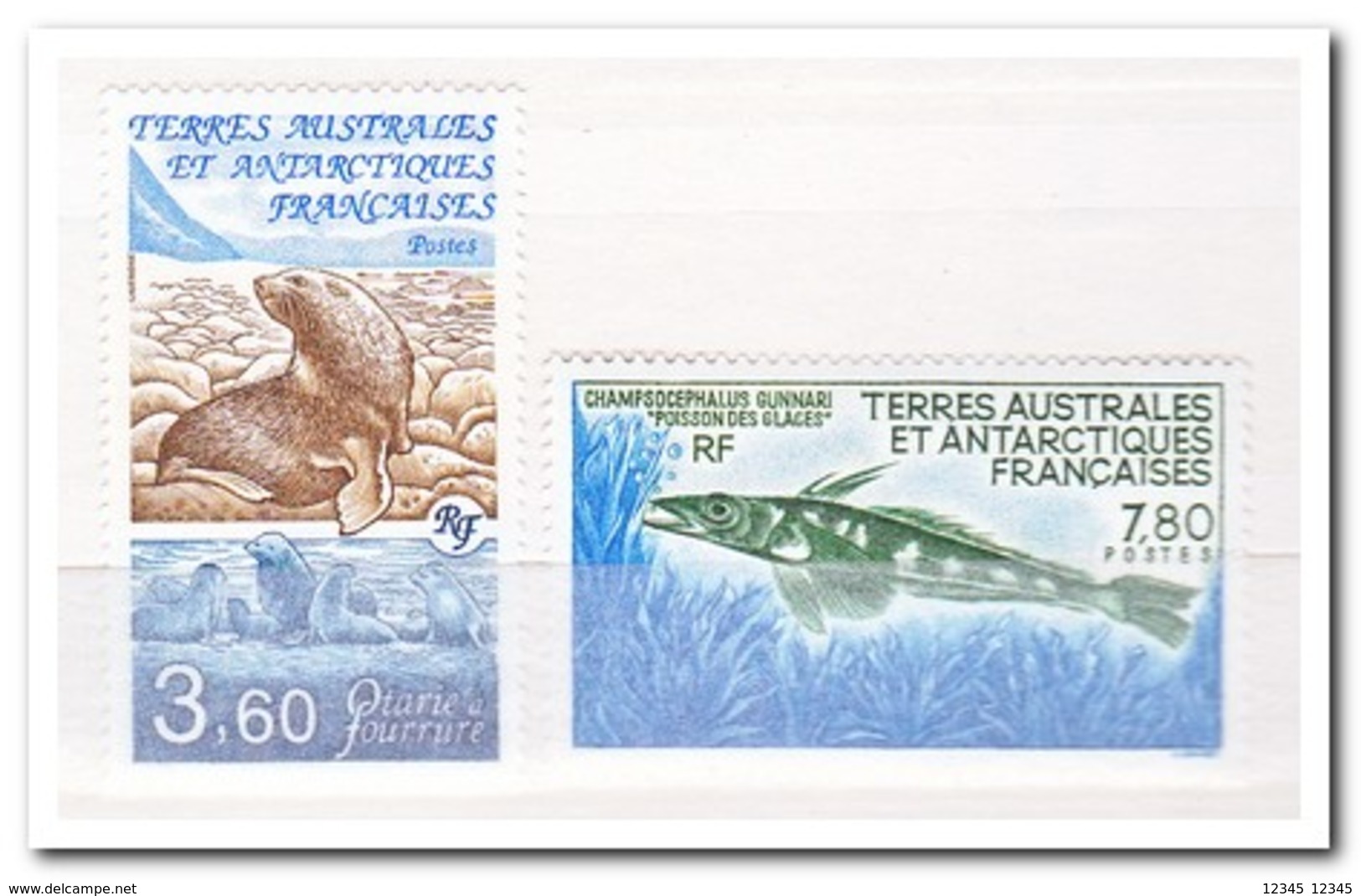 Frans Antarctica 1991, Postfris MNH, Animals Of The Antarctic - Nuovi