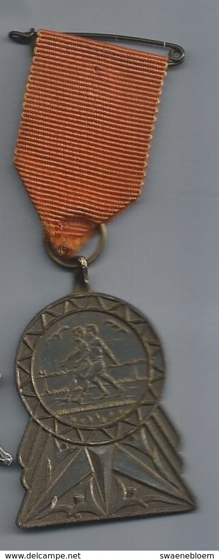 NL.- MEDAILLE. WANDELMEDAILLE. 1e ORANJE WANDELTOCHT 1972 - 10 KM.. Pins - Andere & Zonder Classificatie