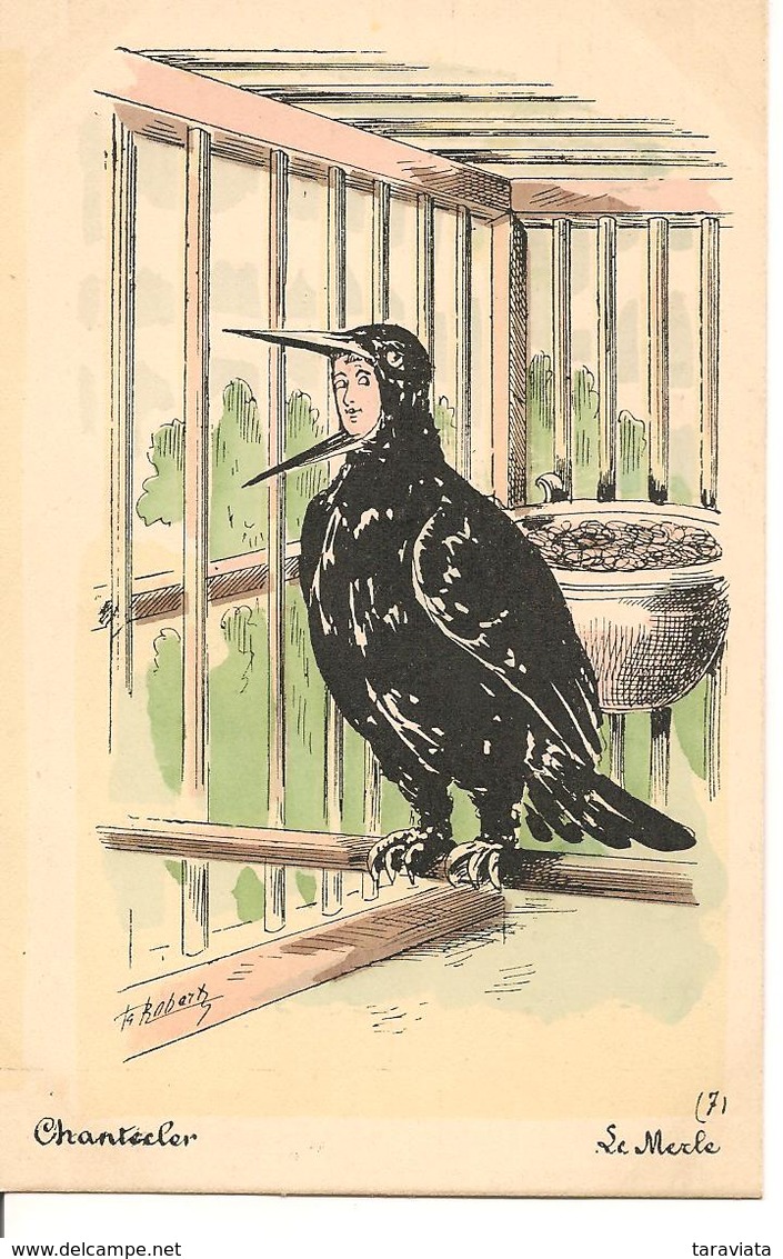 CHANTECLER MERLE Illustrateur Roberty Oiseau Rostand - Robert