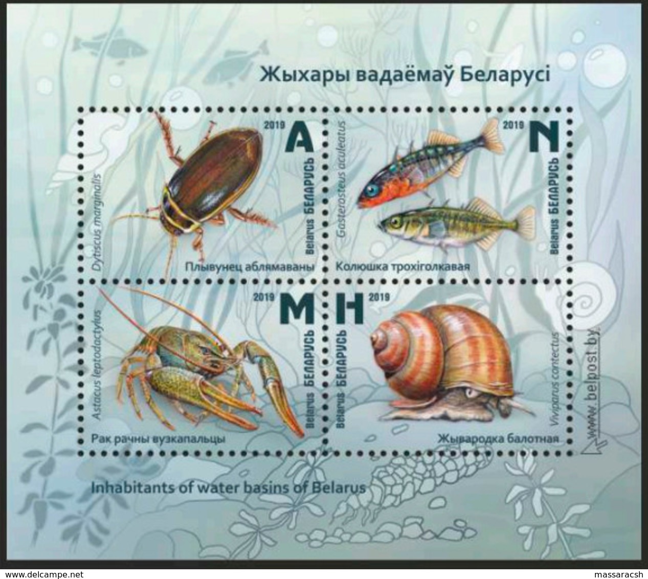 Belarus 2019 Inhabitants Of Water Basins Of Belarus - Vita Acquatica