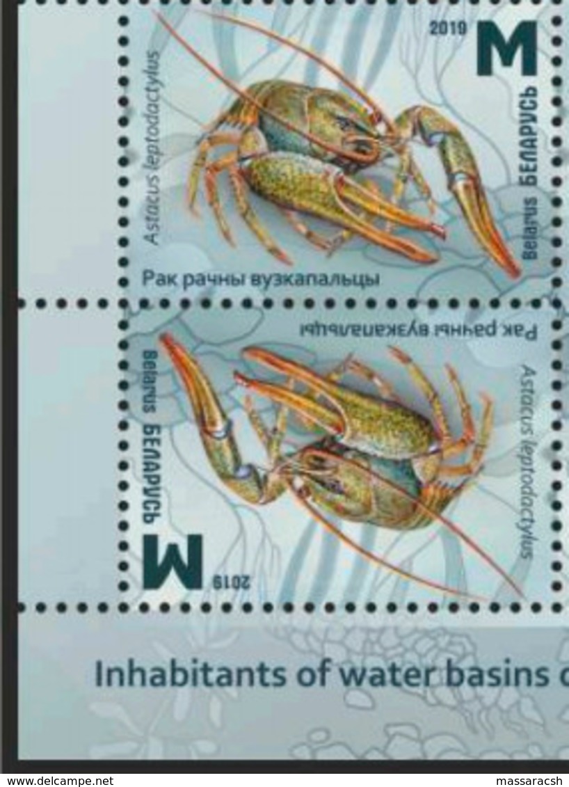 Belarus 2019 Inhabitants Of Water Basins Of Belarus 8 Stamps - Vita Acquatica