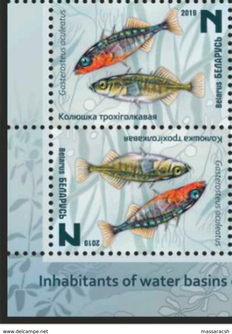 Belarus 2019 Inhabitants Of Water Basins Of Belarus 8 Stamps - Vita Acquatica