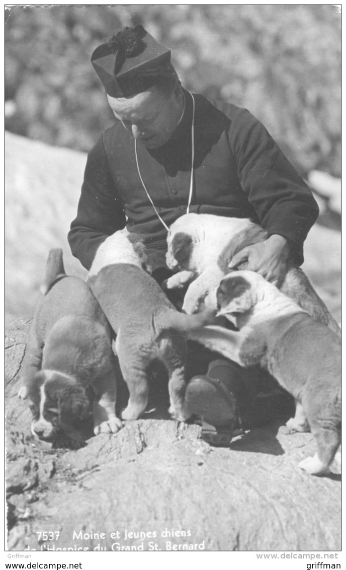 BOURG SAINT PIERRE HOSPICE DU GRAND SAINT BERNARD MOINE ET JEUNE CHIEN CPSM 9X14 1945 - Bourg-Saint-Pierre 