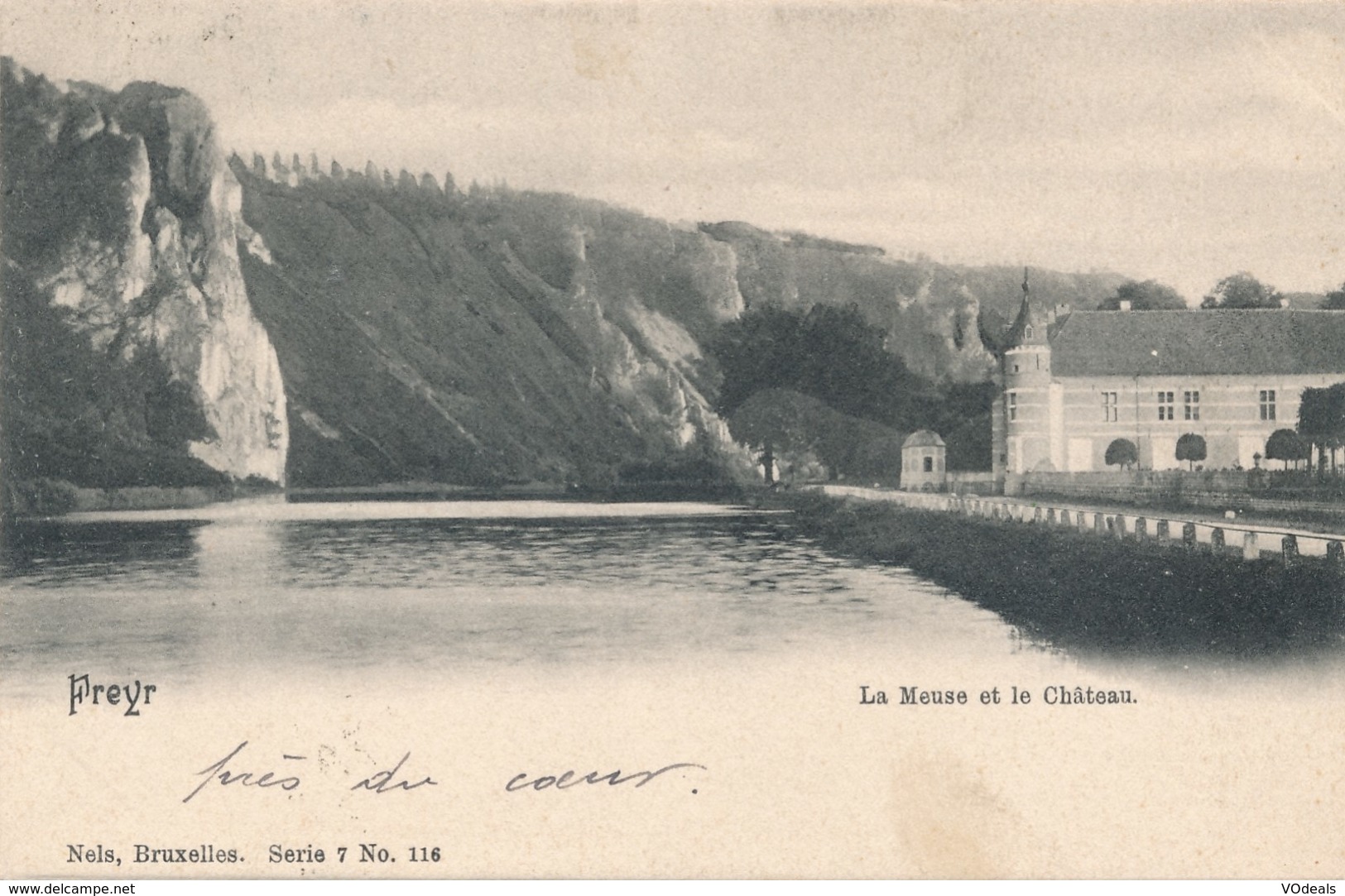 CPA - Belgique - Freyr - La Meuse Et Le Château - Dinant