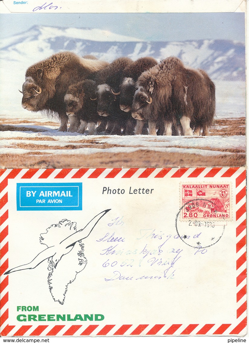 Greenland Photoletter Sent To Denmark Nuuk 2-9-1986 - Covers & Documents