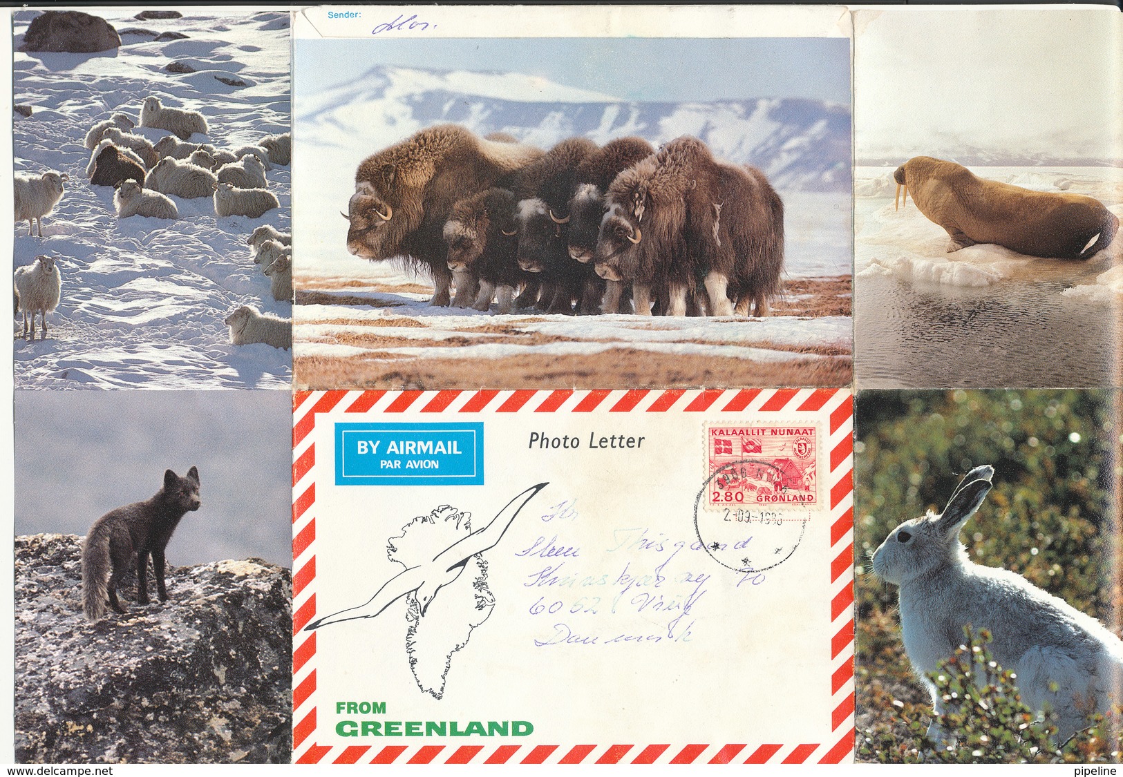Greenland Photoletter Sent To Denmark Nuuk 2-9-1986 - Covers & Documents