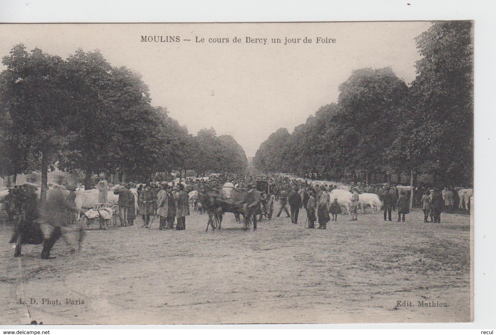 ALLIER - MOULIN - Le Cours De Bercy Un Jour De Foire - Moulins