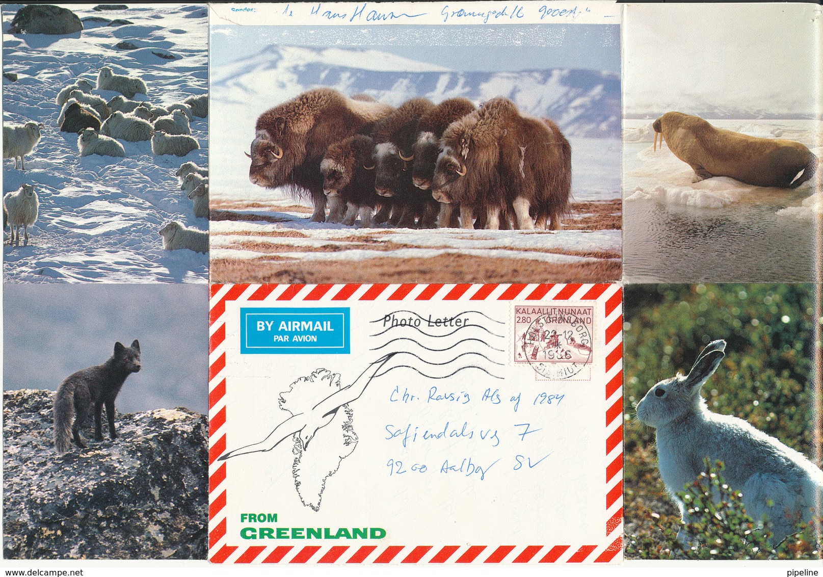 Greenland Photoletter Sent To Denmark Holsteinsborg 22-12-1986 - Covers & Documents