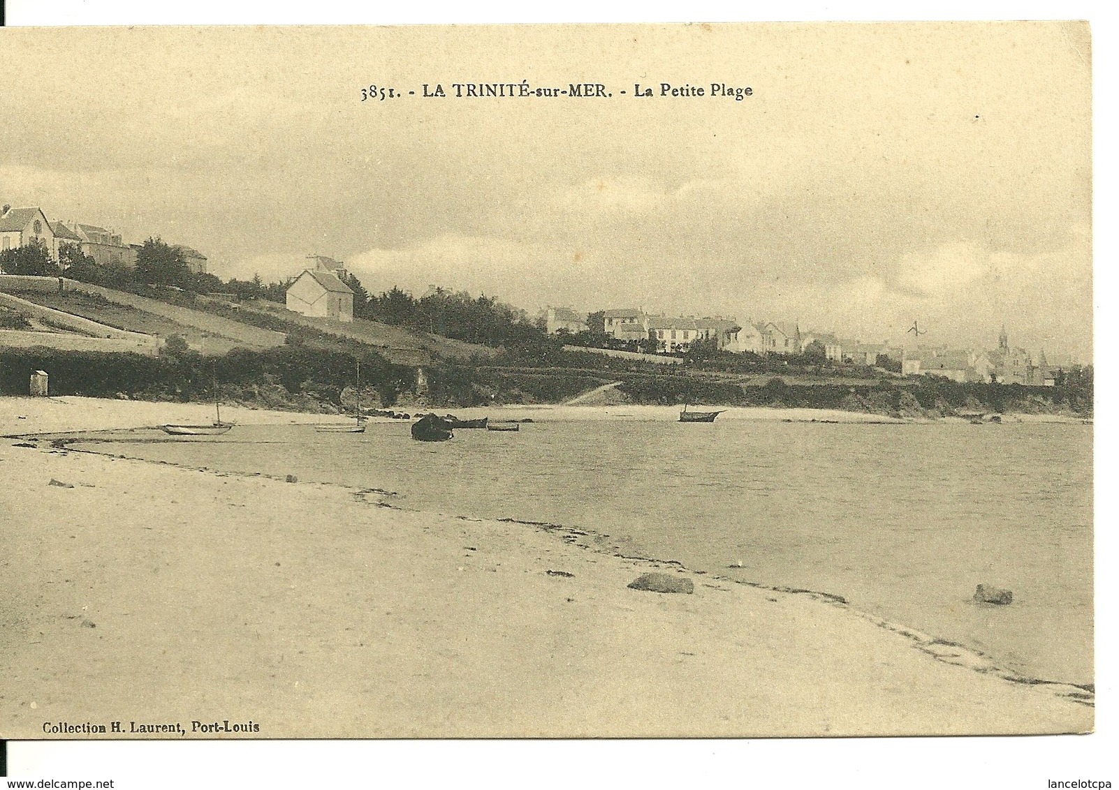 56 - LA TRINITE SUR MER / LA PETITE PLAGE - La Trinite Sur Mer