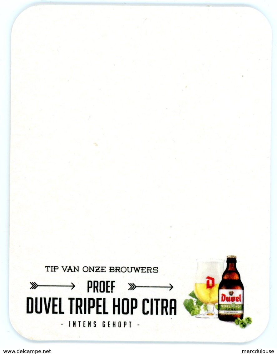 Belgium. Duvel. Celebrating Mastery. Since 1871. Tip Van Onze Brouwers. Proef Duvel Tripel Hop Citra. Intens Gehopt. - Portavasos