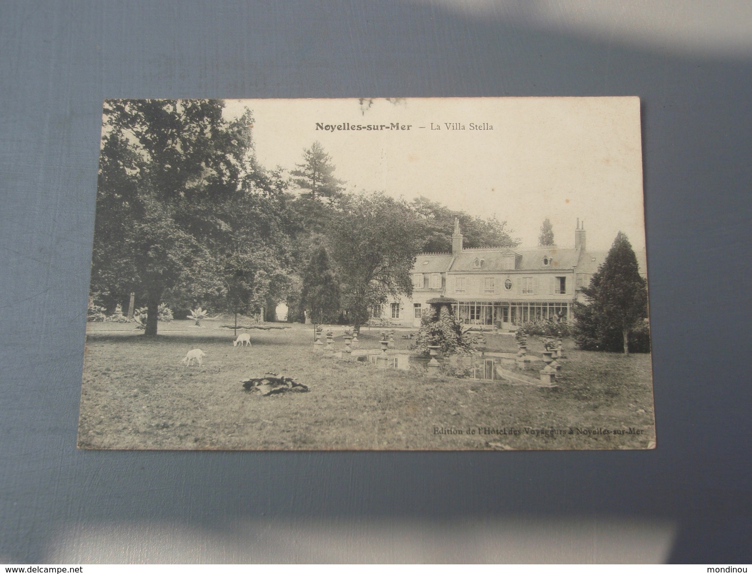 Cpa Noyelles-sur-Mer - La Villa Stella, Avec Chèvres. - Noyelles-sur-Mer