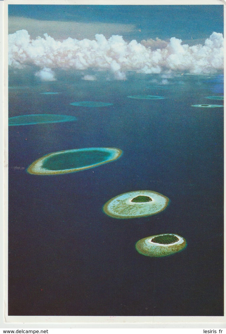 C.P. - MALDIVES - IHURU - VABINFARU - 23/58 - MICKAEL FRIEDEL - Maldives