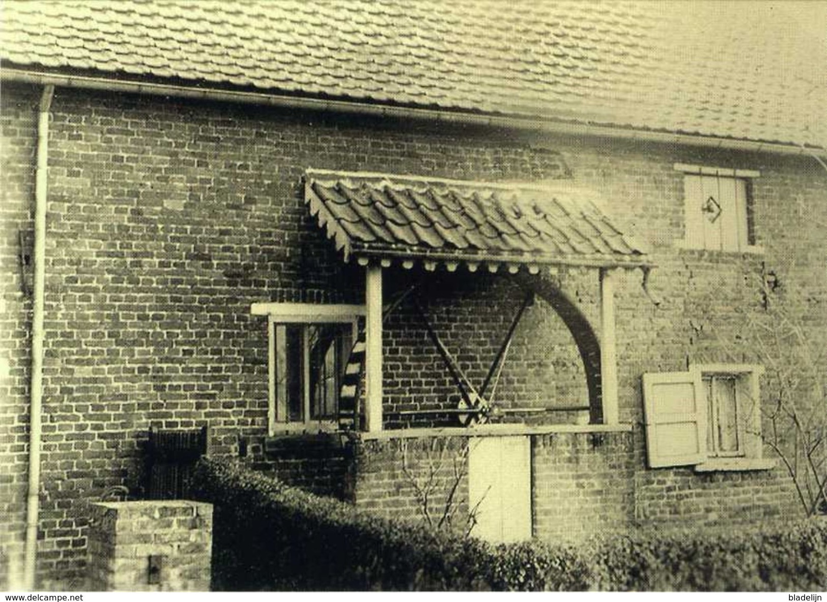 VOLLEZELE - Galmaarden (Vlaams-Brabant) - Molen / Moulin - De Hondenmolen In 1950 - Galmaarden