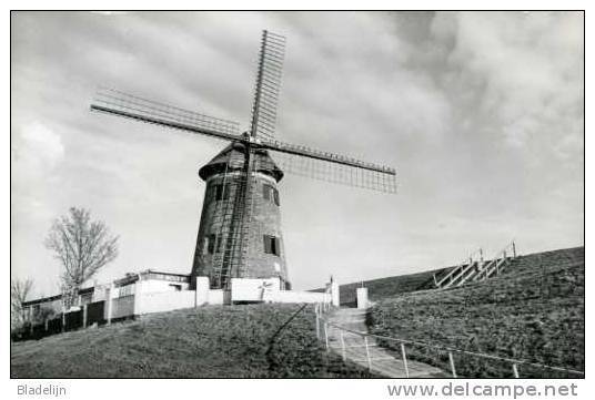 DOEL (O.Vl.) - Molen/moulin/mill - De Scheldemolen Van Het Verloren (?) Polderdorp... Opname: 1995. - Beveren-Waas