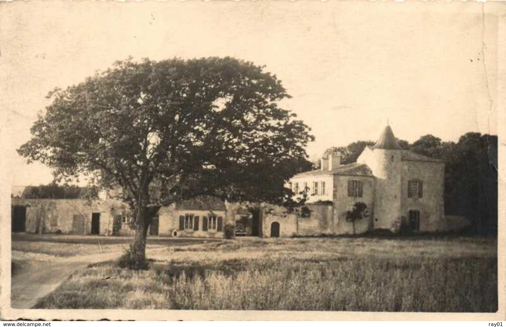 BELGIQUE - lot de plus de 100 cartes postales (voir description et images)