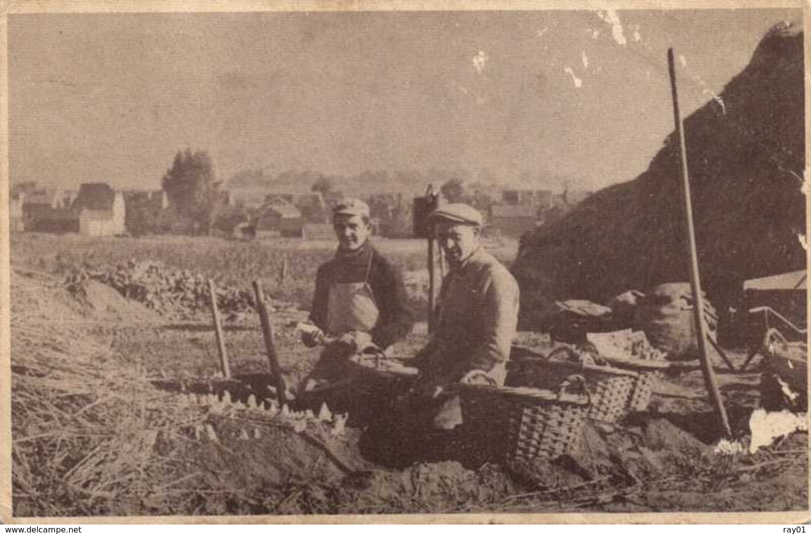 BELGIQUE - lot de plus de 100 cartes postales (voir description et images)