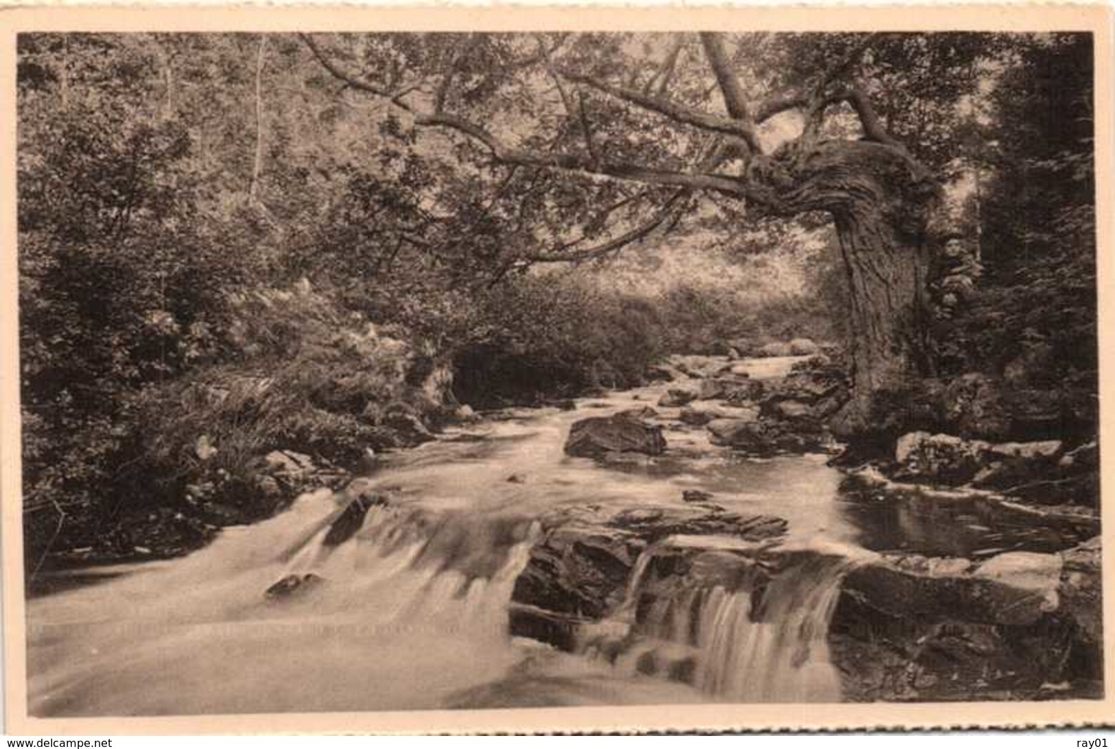 BELGIQUE - lot de plus de 100 cartes postales (voir description et images)