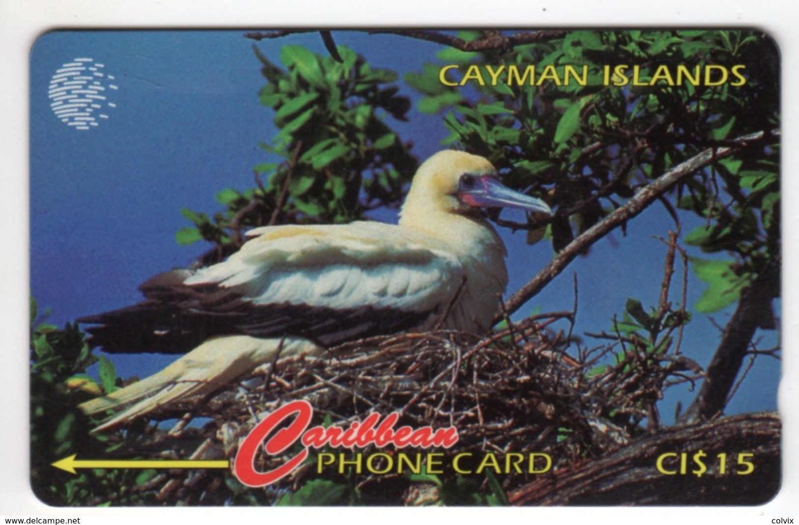 CAYMAN ISLANDS CABLE & WIRELESS MV Cards CAY-11D 1995 10$  CN 11CCID RED FOOTED BOOBY OISEAU - Iles Cayman