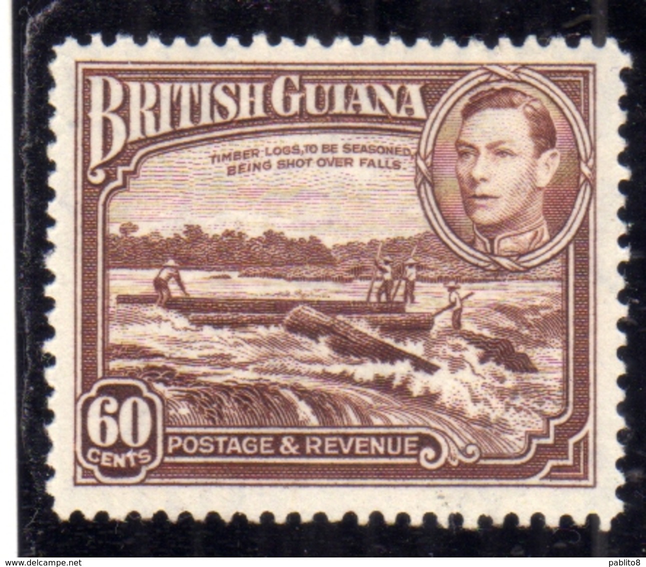 BRITISH GUIANA GUYANA BRITANNICA 1938 1952 KING GEORGE VI TIMBER LOGS TO BE SEASONED BEING SHOT OVER FALLS CENT. 60c MNH - Guyana Britannica (...-1966)