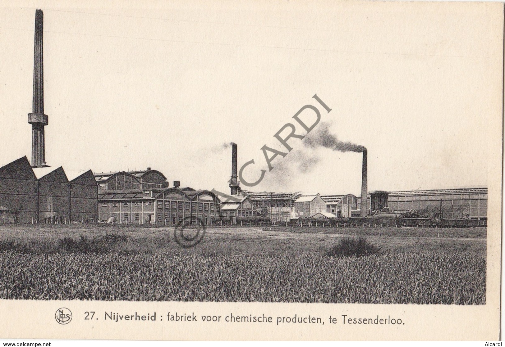 TESSENDERLO Nijverheid - Fabriek Voor Chemische Producten (C288) - Tessenderlo