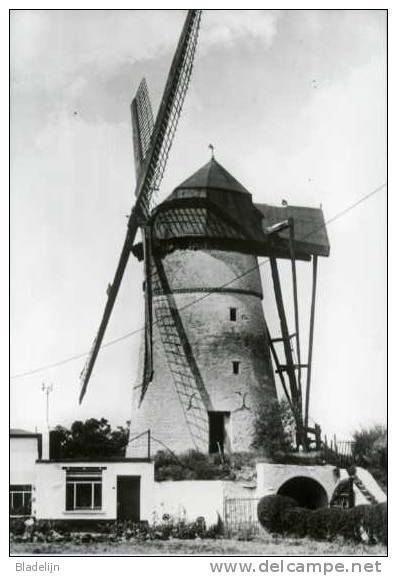 DENDERWINDEKE (O.Vl.) - Molen/moulin - Prachtige Opname Uit 1976 Van Bergmolen "Ter Zeven Wegen" - Ninove