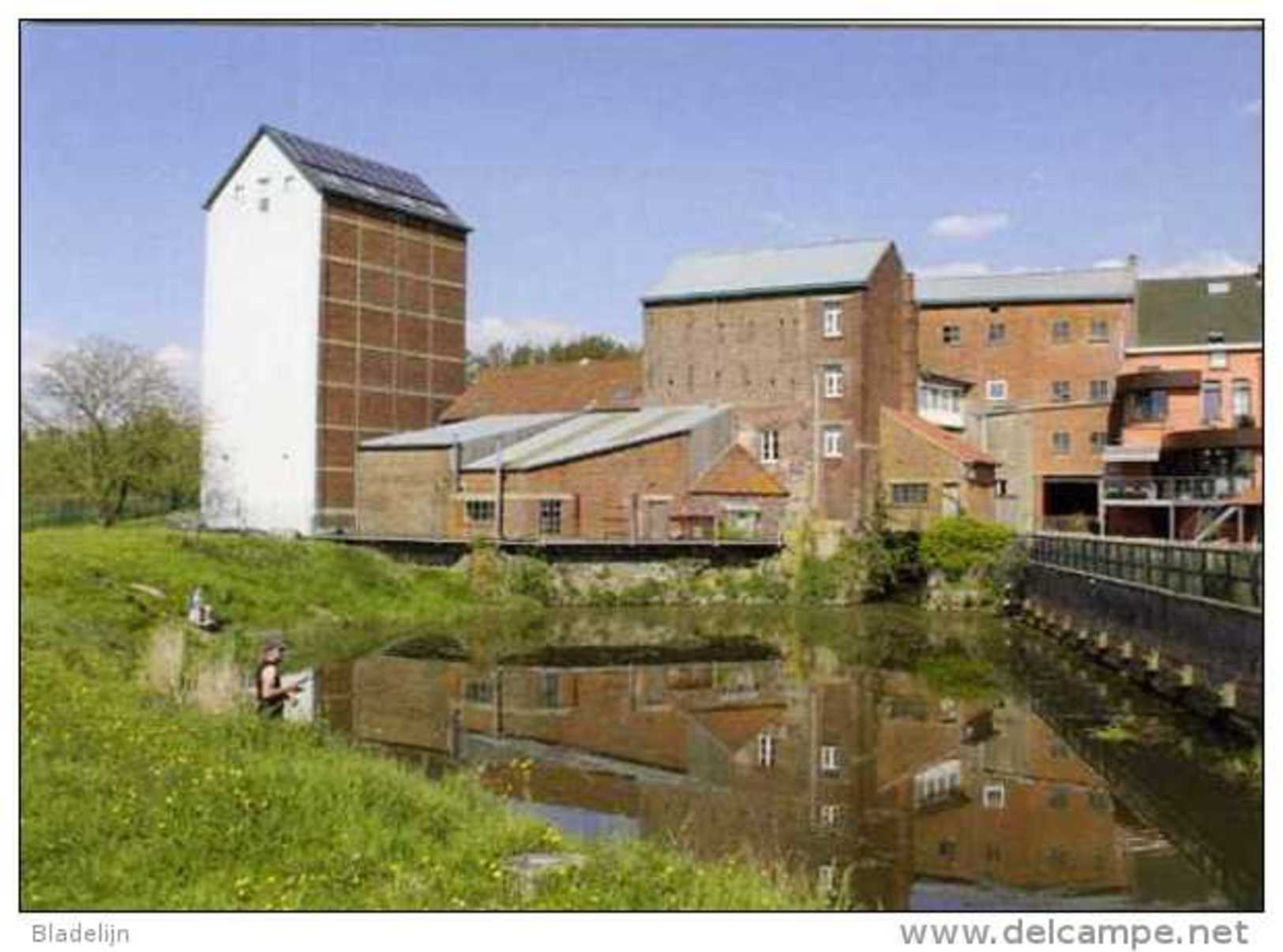 VIANE Bij Geraardbergen (O.-Vl.) - Molen/moulin - Fraaie Opname Van De Mertensmolen Gezien Vanuit Het Zuiden - Geraardsbergen