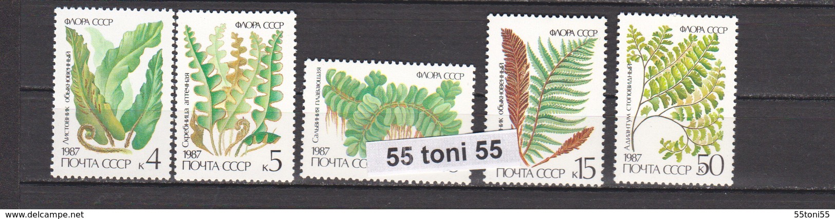 1987  FLORA- FERNS   5v.-MNH  USSR - Andere & Zonder Classificatie