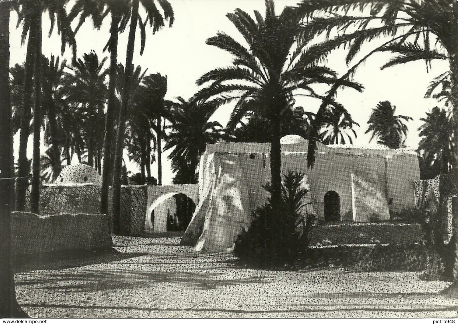 Tripoli (Libia) Oasi, Oasis - Libia