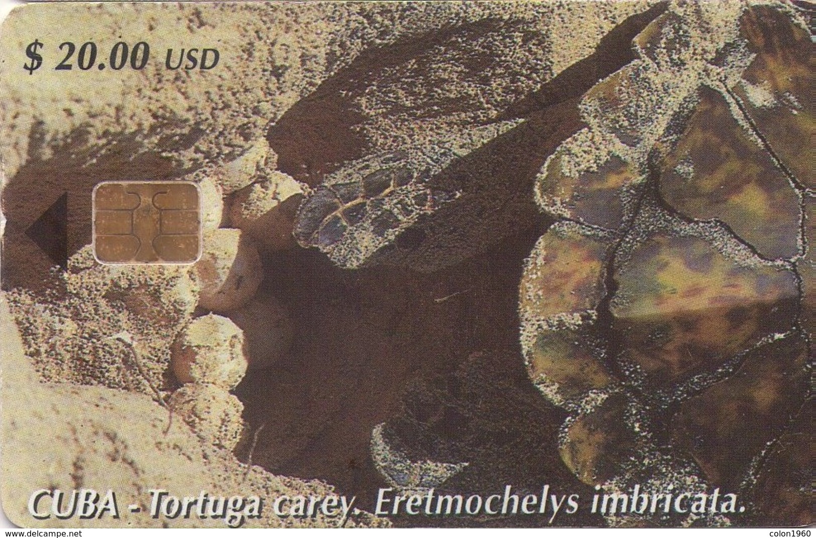 TARJETA TELEFONICA DE CUBA (TORTUGA CAREY - Hawksbill Turtle) (323) - Tortugas