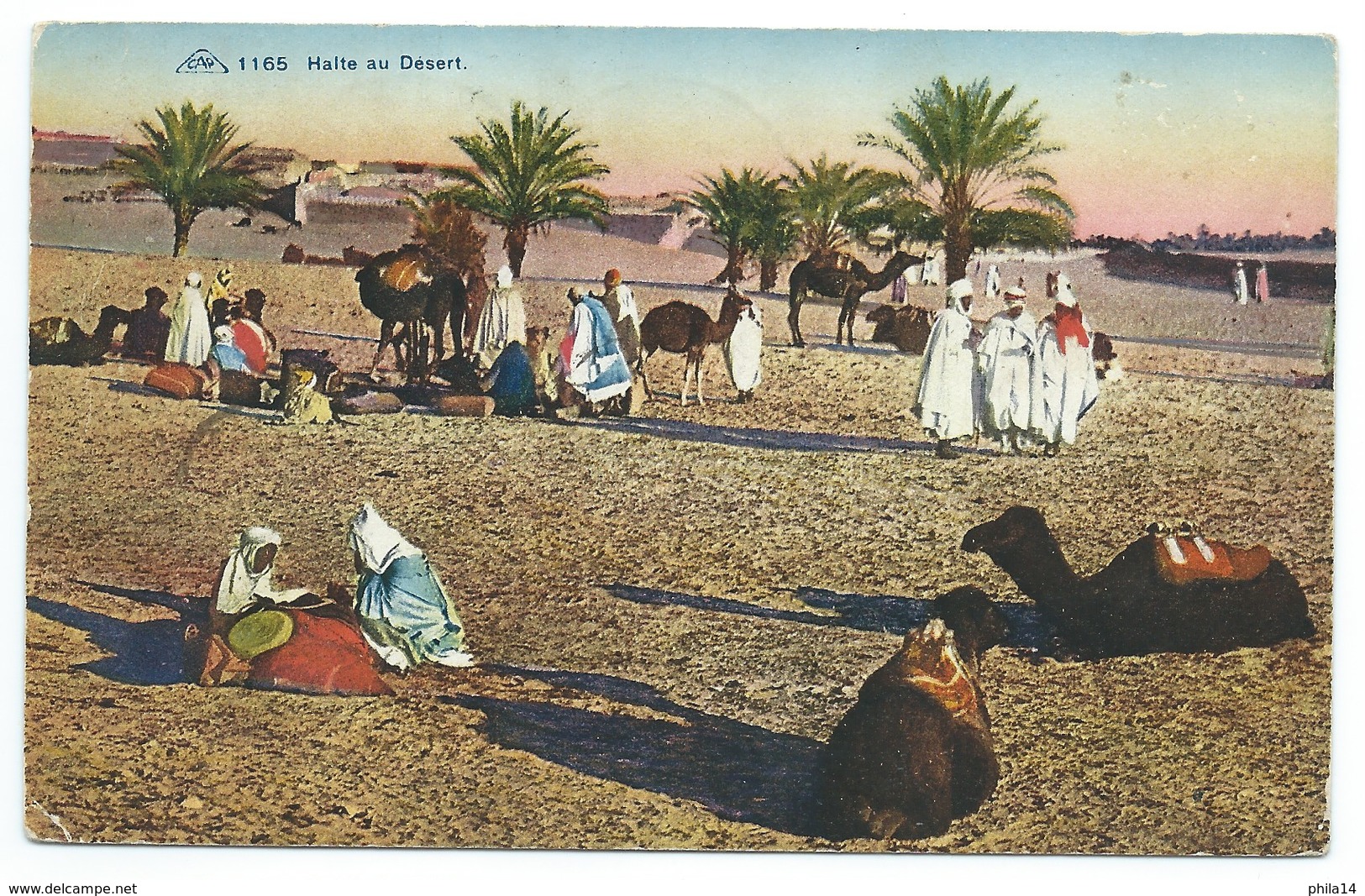 CARTE POSTALE / HALTE AU DESERT / ALGER ALGERIE 1929 POUR LA SUISSE - Scènes & Types