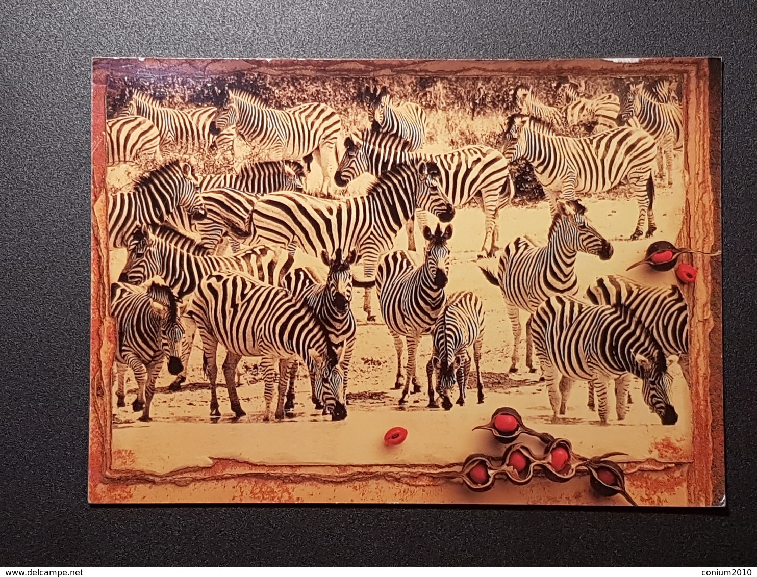 Namibia; Bild Mit Zebras (gelaufen ,1999),  H22 - Namibië