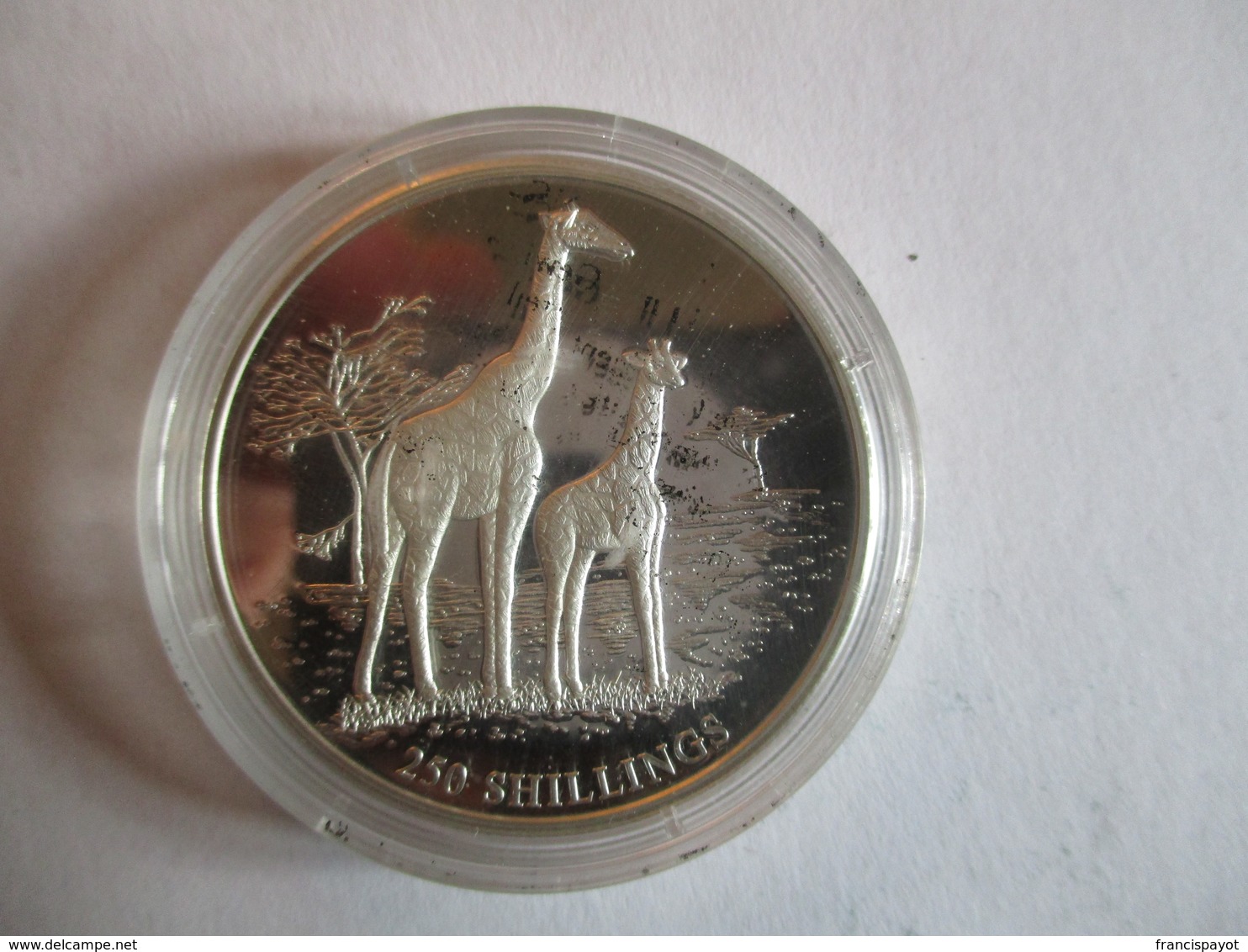 Somalia: 250 Shillings 1999 (girafe) - Somalië