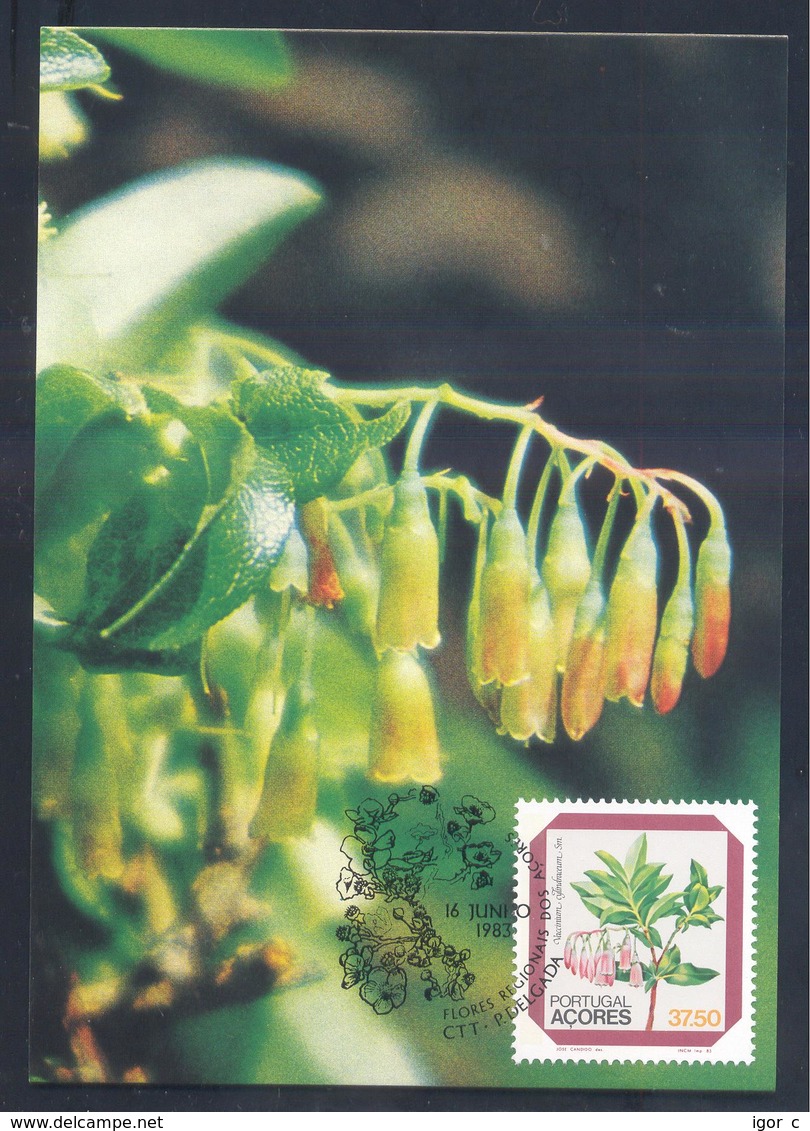 Portugal Azores 1983 Maximum Card: Flora Flowers Fruits; Regional Plants Azores;  Vaccinium Cylindraceum - Sonstige & Ohne Zuordnung