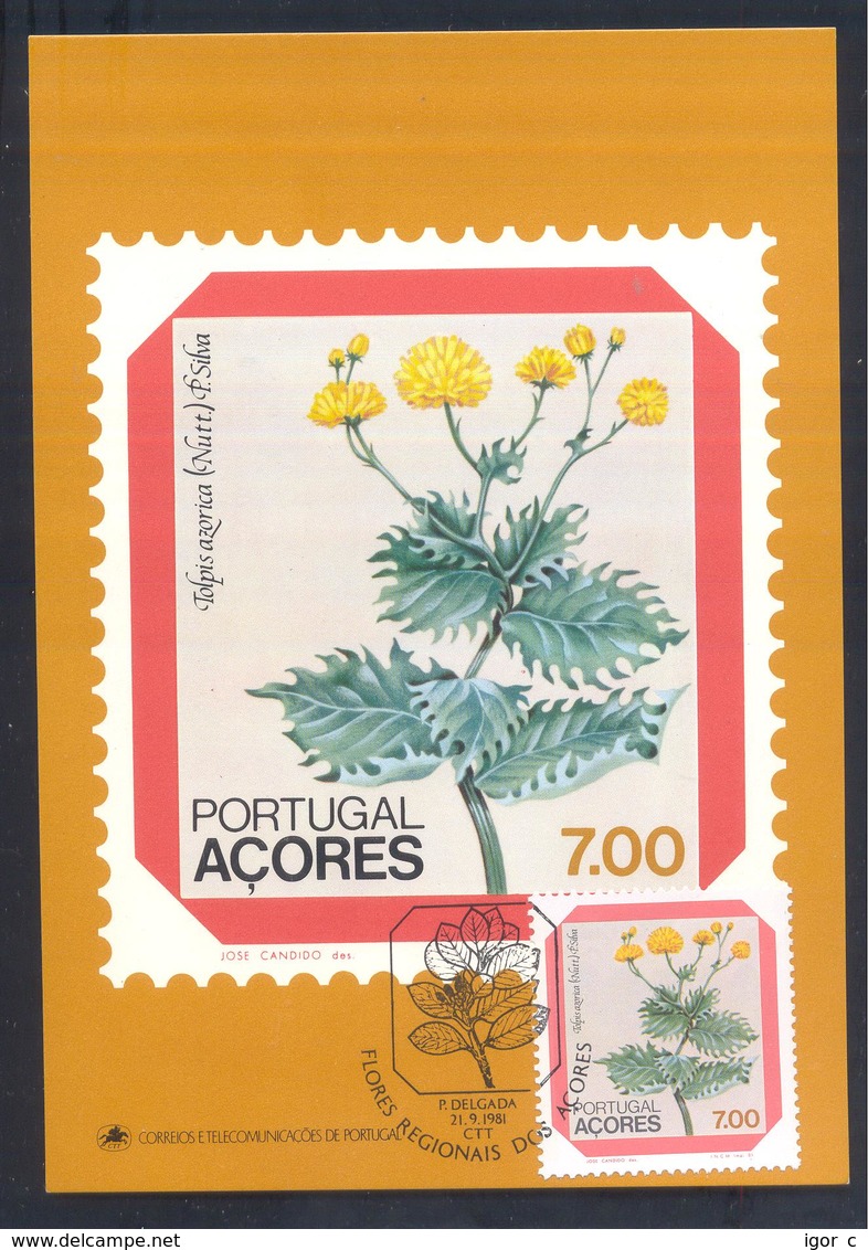 Portugal Azores 1983 Maximum Card: Flora Flowers Blume; Regional Plants; Tolpis Azorica - Sonstige & Ohne Zuordnung