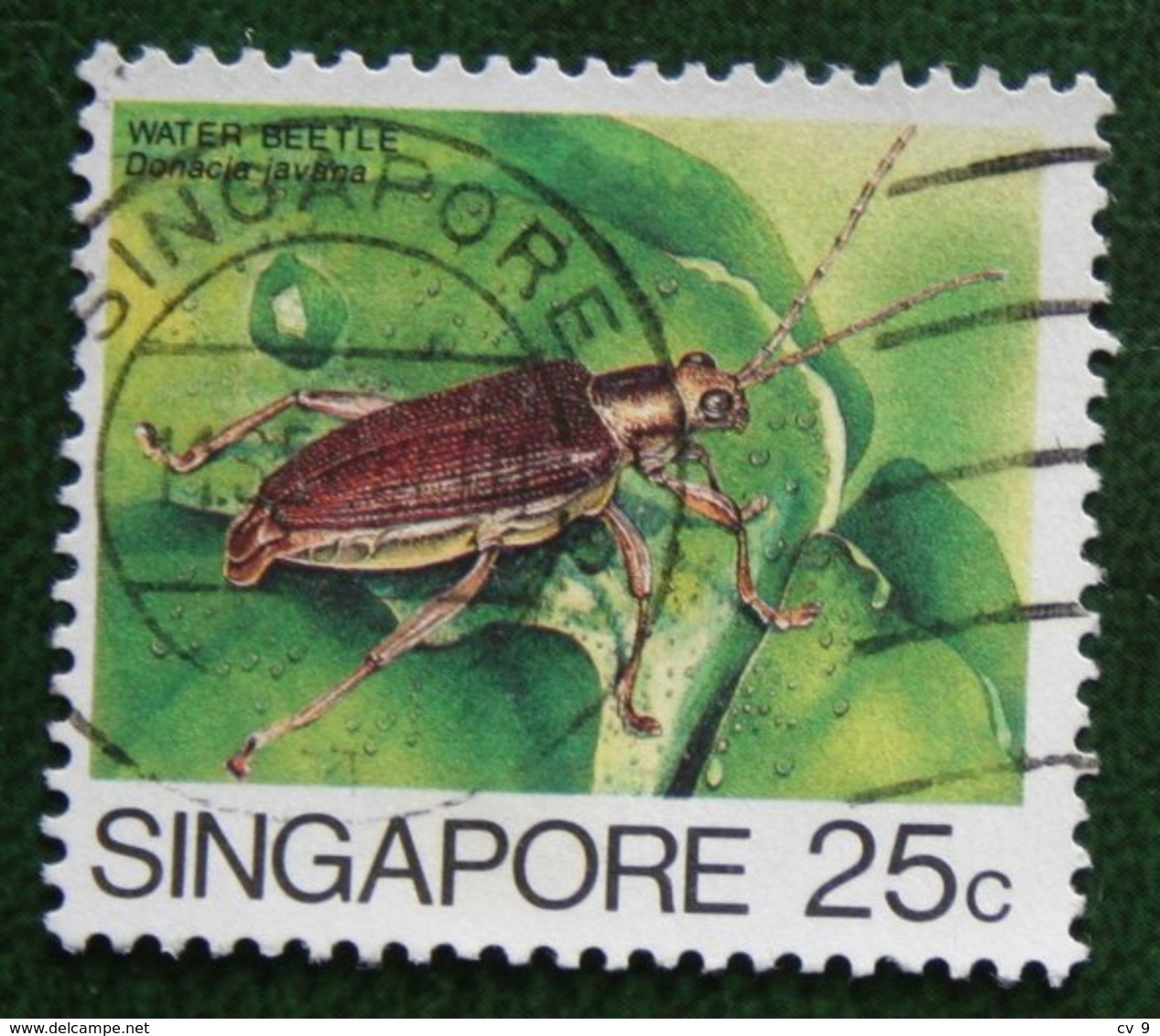 25 C Insects Insekt WATER BEETLE 1985 Mi 467 Used Gebruikt Oblitere SINGAPORE SINGAPUR - Singapur (1959-...)