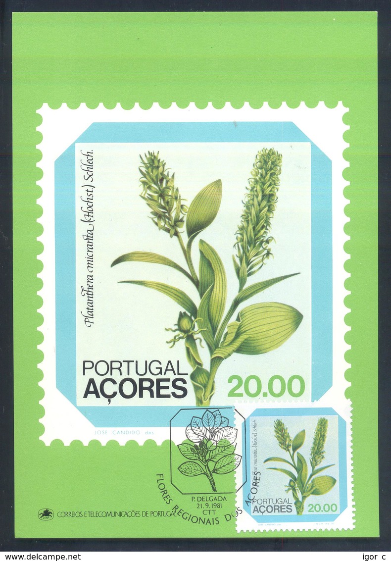 Portugal Azores 1983 Maximum Card: Flora Flowers Blume; Orchidee Orchid Orchis: Platanthera Micranta (Hochst.) Schlech - Orchideen