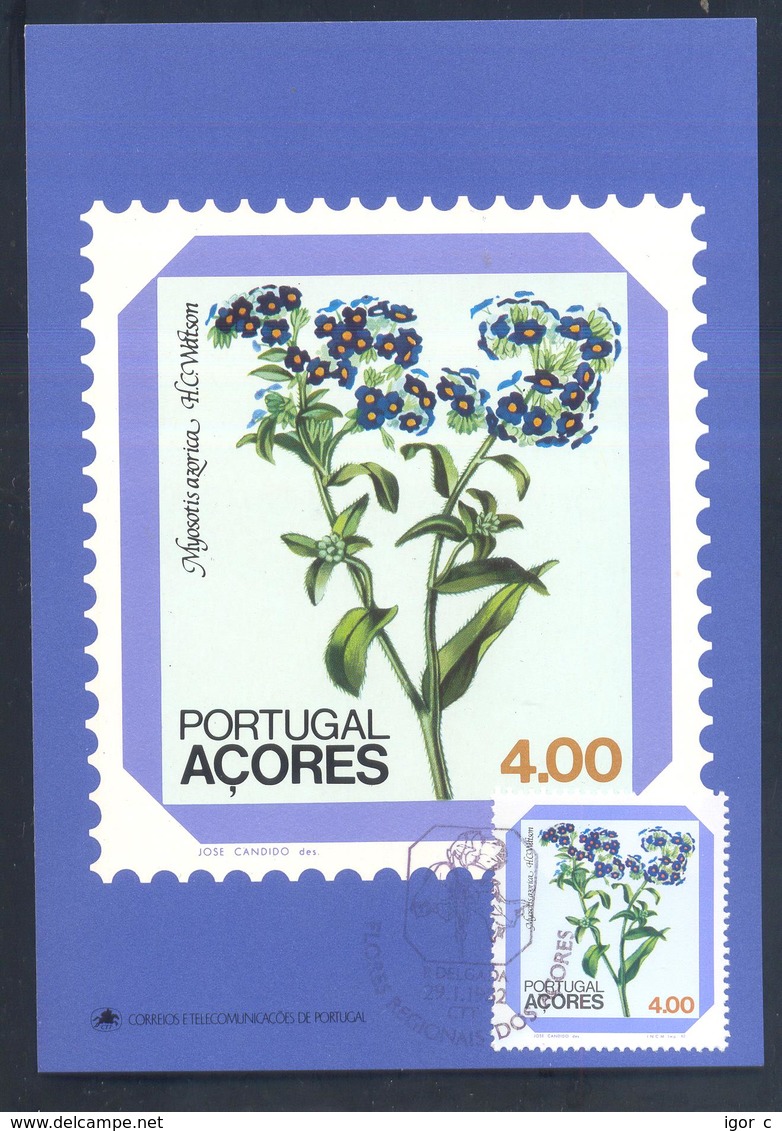 Portugal Azores 1982 Maximum Card: Flora Flowers Blume; Myosotis Azorica, Azorean Mouse-ear - Sonstige & Ohne Zuordnung