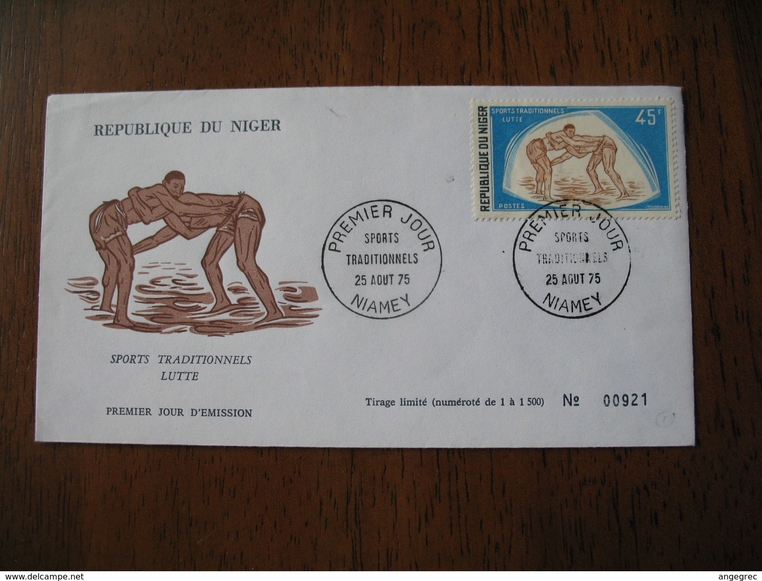 FDC  Enveloppe  Niger Niamey   1975  Lutte  à Voir - Niger (1960-...)