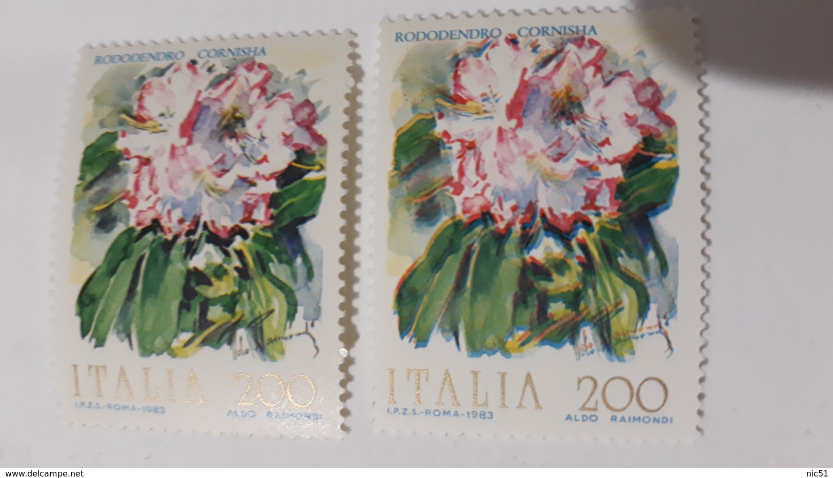 ITALIA 1983 FIORE RODODENDRO CORNISHA (DOPPIA FIRMA ) - Variétés Et Curiosités