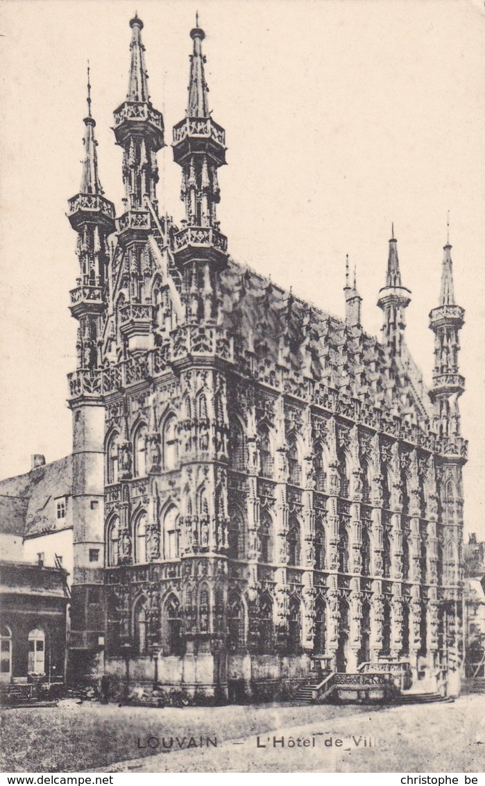 Leuven, Louvain, L'Hotel De Ville (pk58603) - Leuven